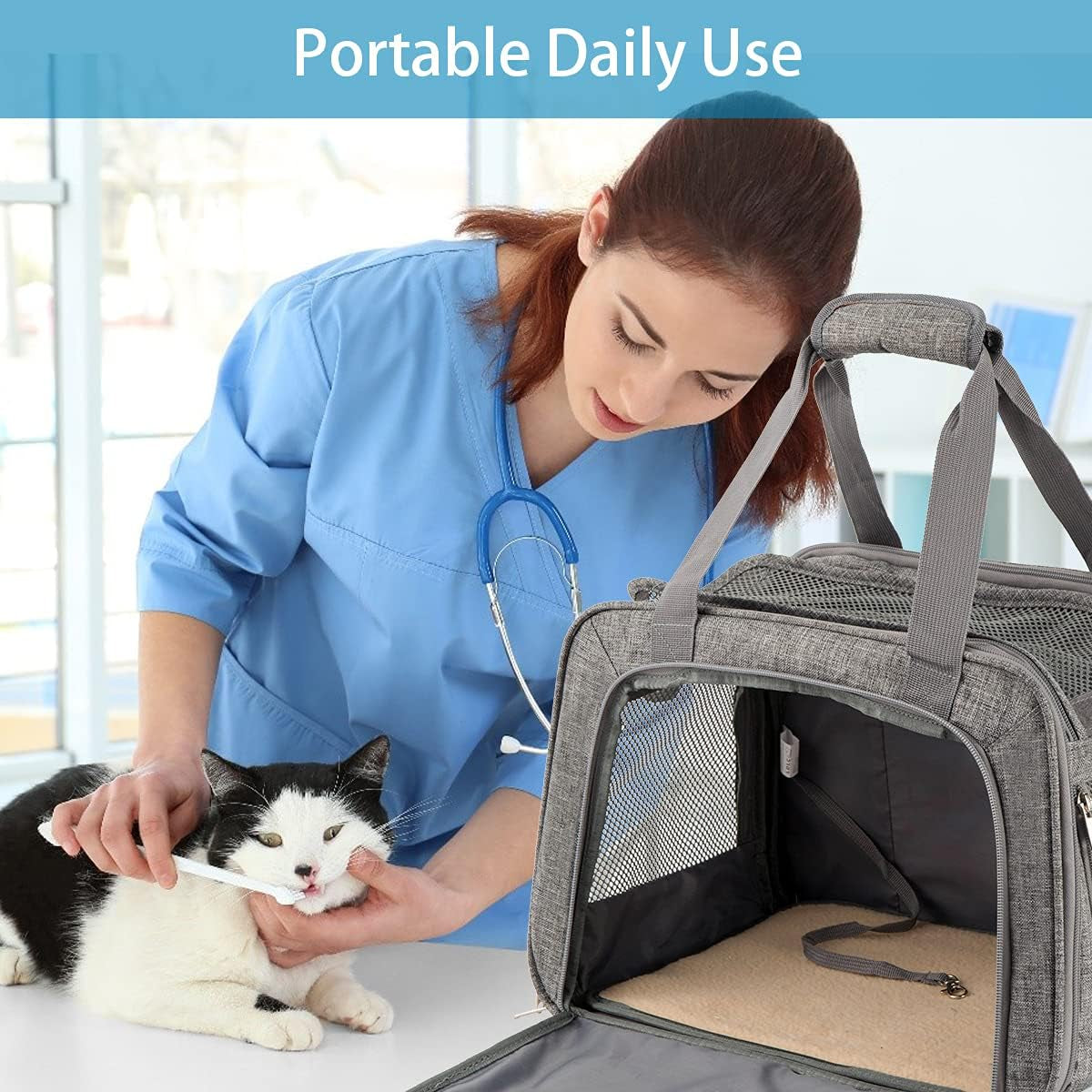 PetCarrier 