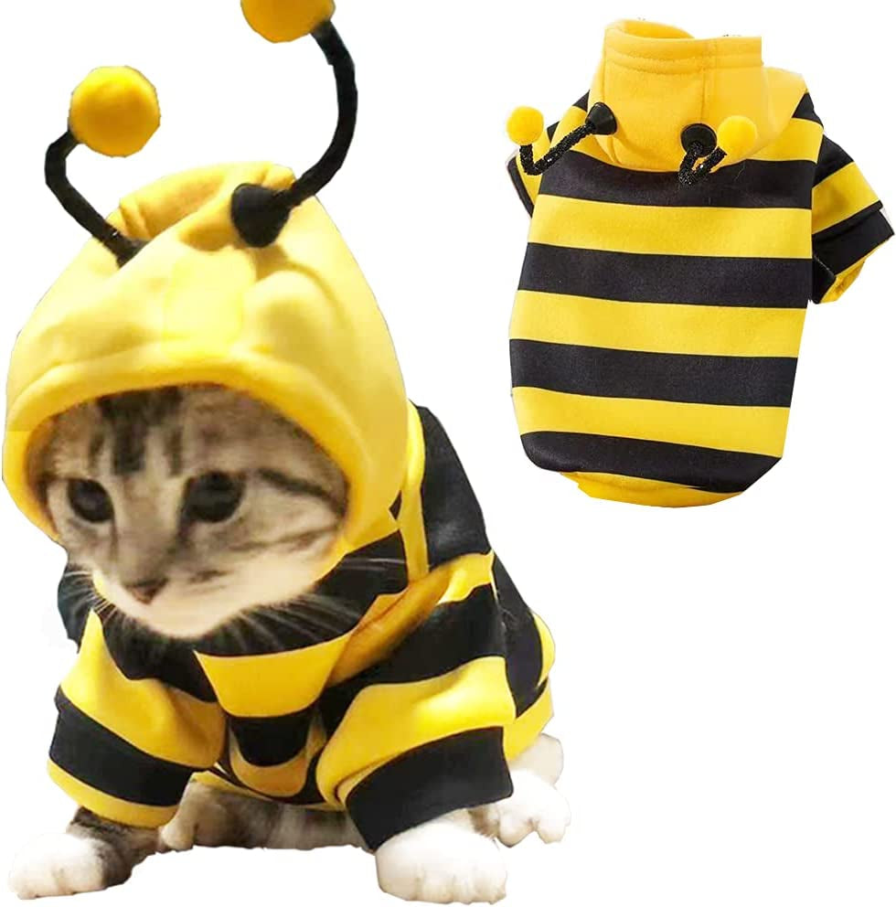 BeeHoodie