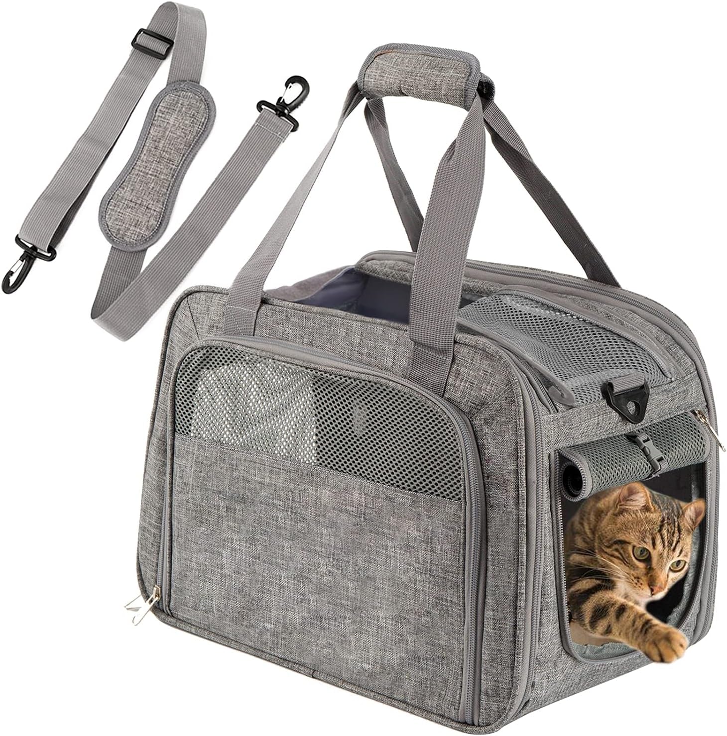 PetCarrier 
