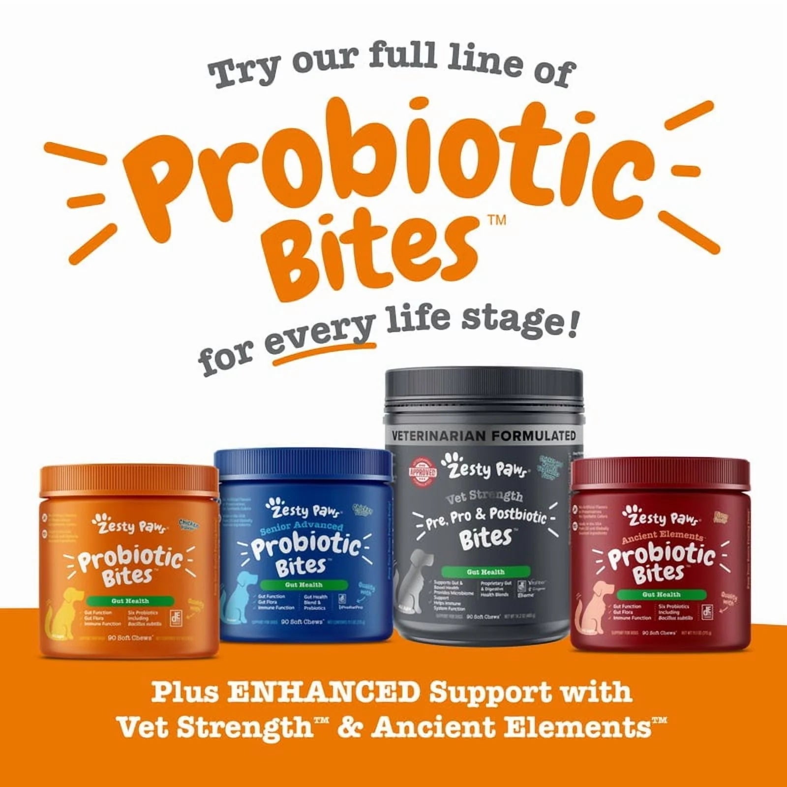  ProbioticBites