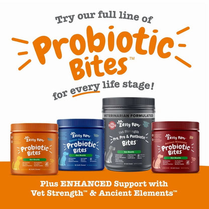  ProbioticBites