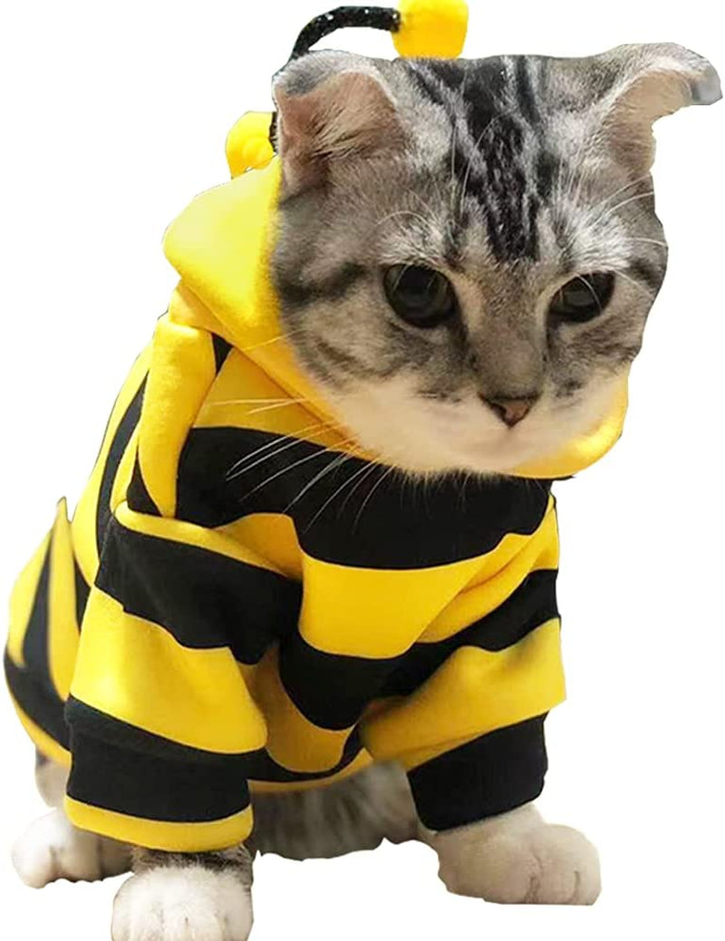 BeeHoodie