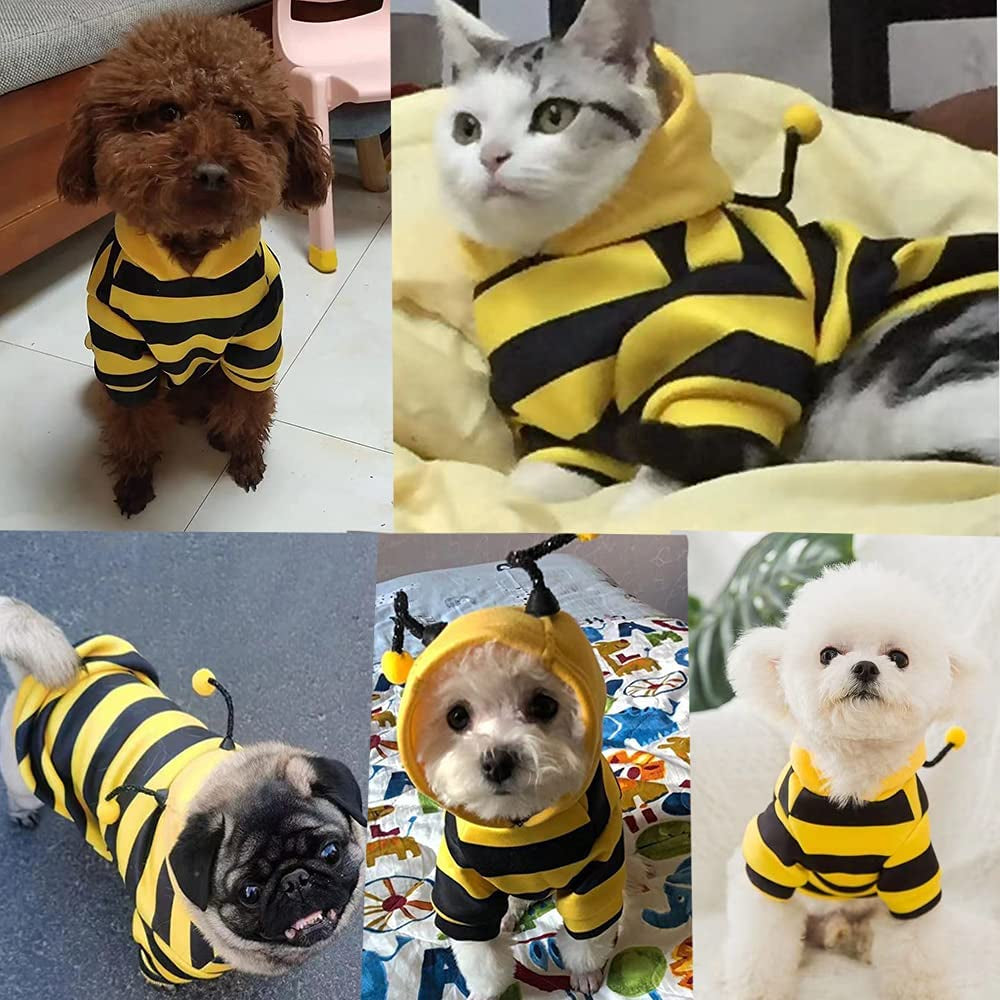 BeeHoodie