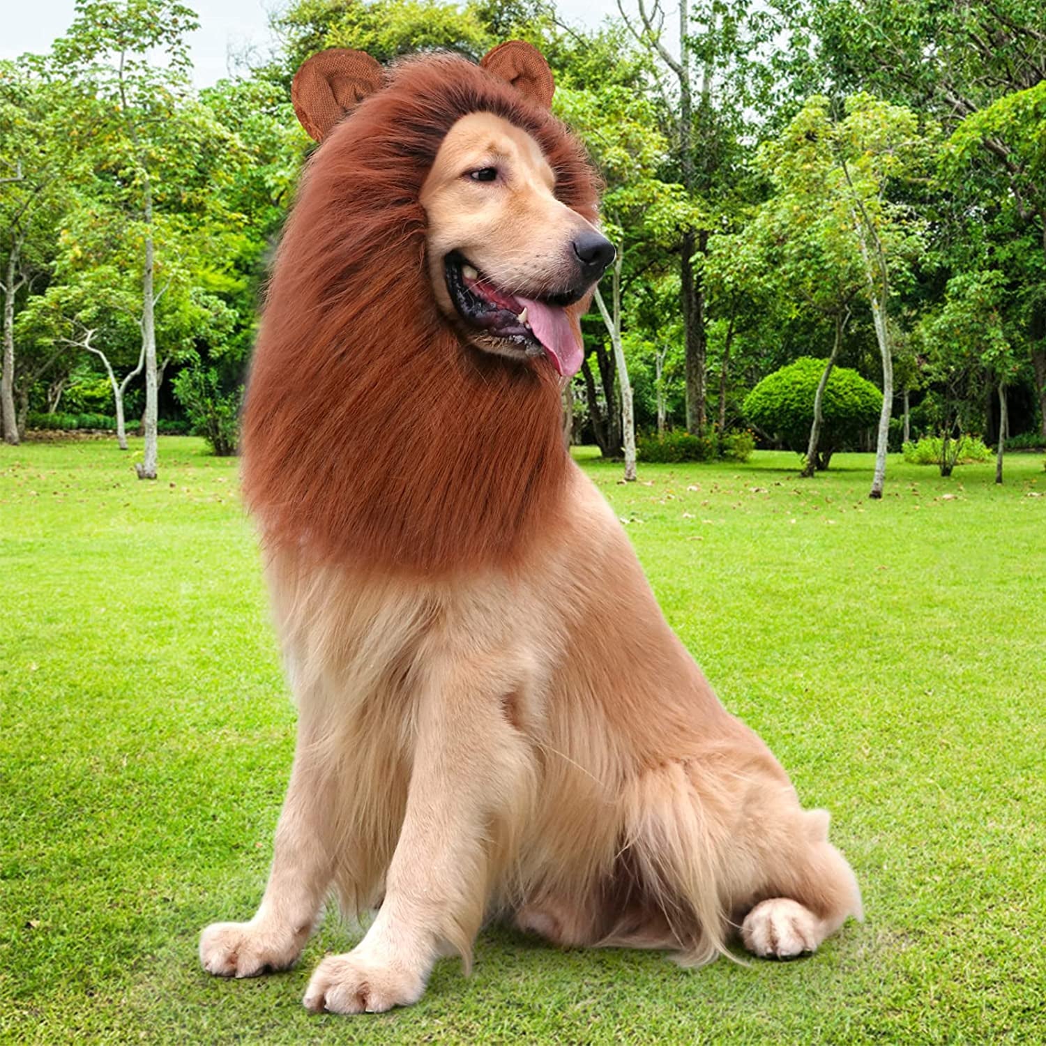Lion Mane for Dog Costumes, Realistic Wig for Medium to Large Sized Dogs, Halloween Costumes (Dark Brown)