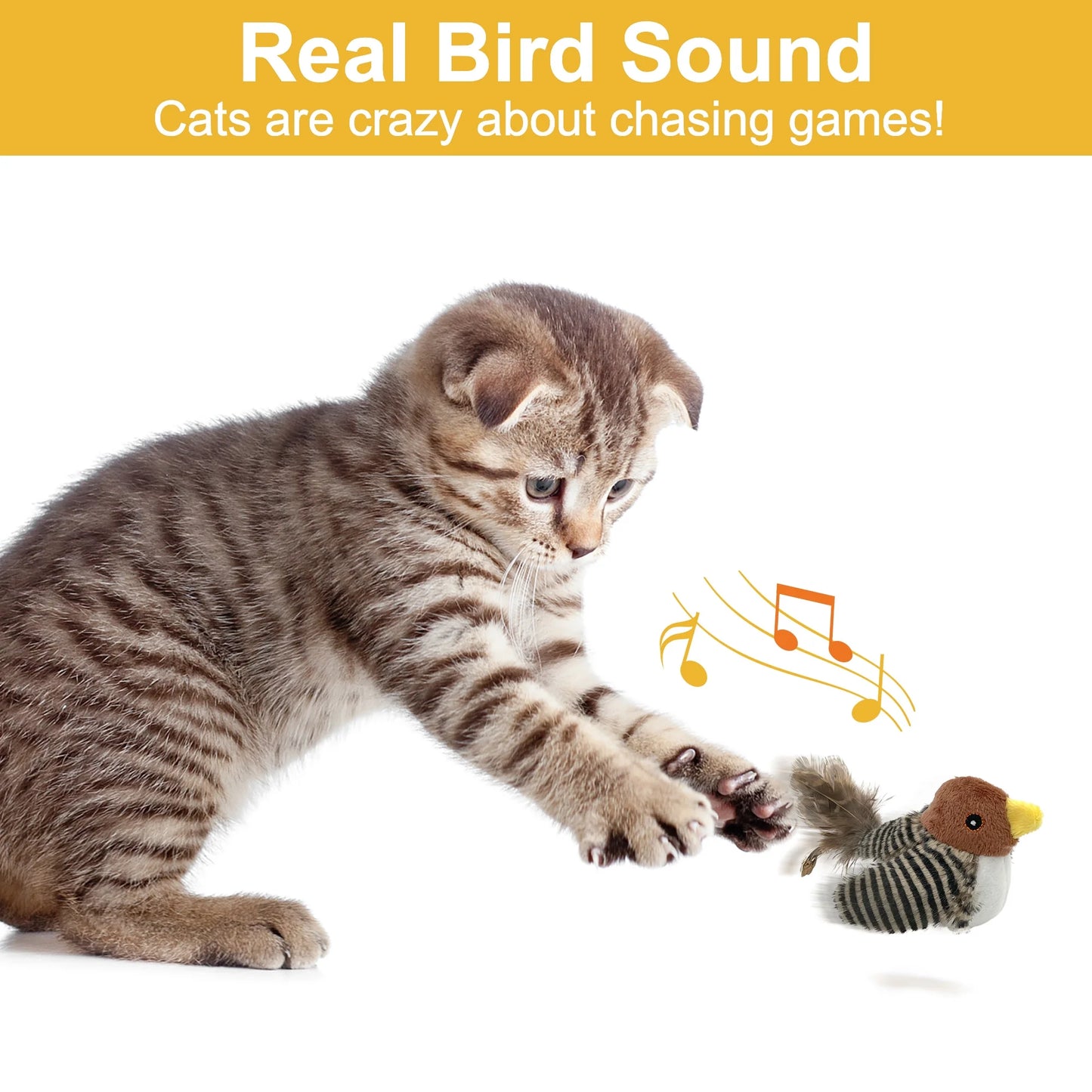 BirdSound